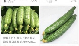 最新黄瓜爆料视频大全集,揭秘幕后真相与精彩瞬间