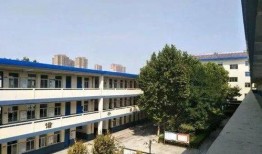永年一中最新爆料,揭秘校园风云与学子风采